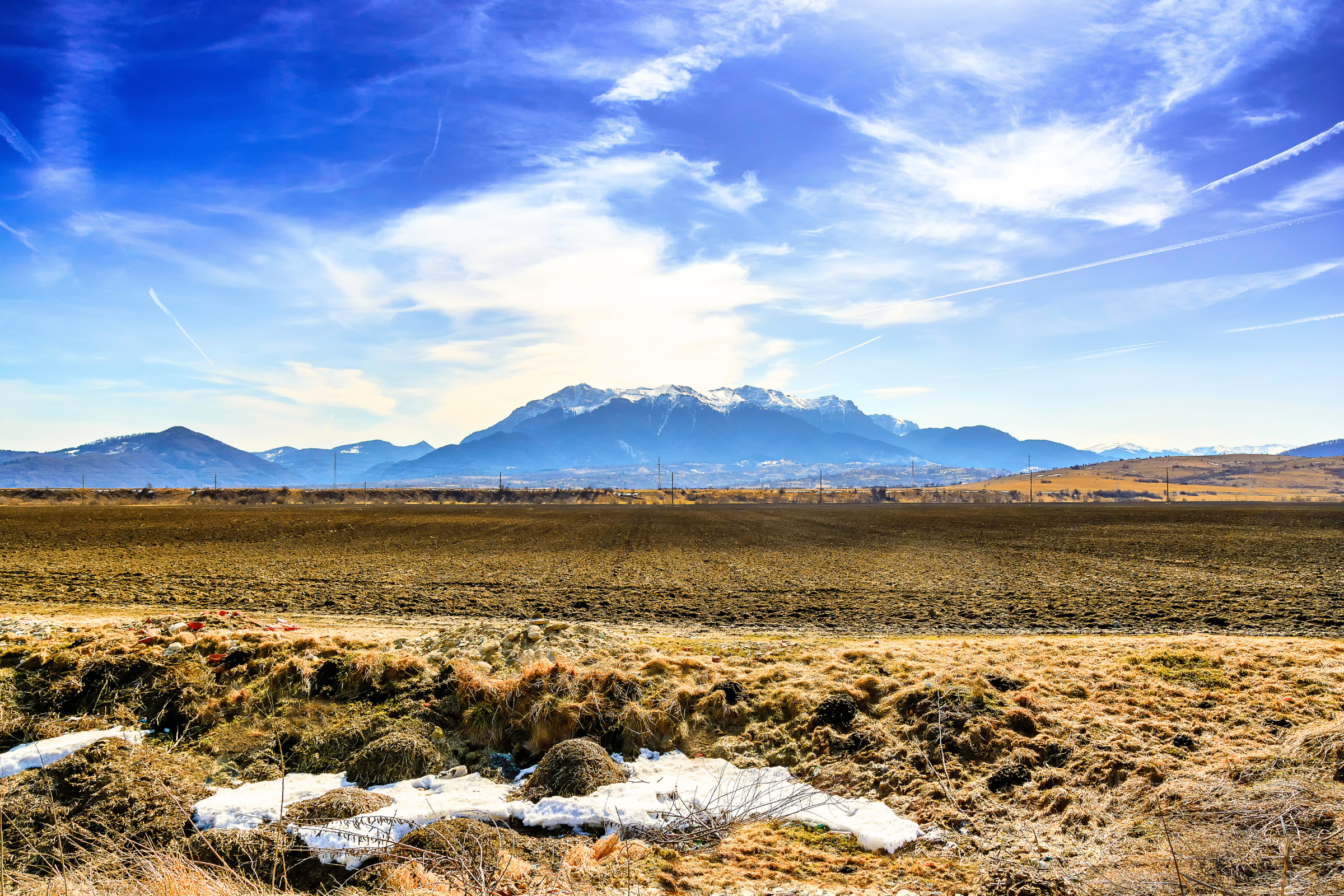 19_Zarnesti[1].webp